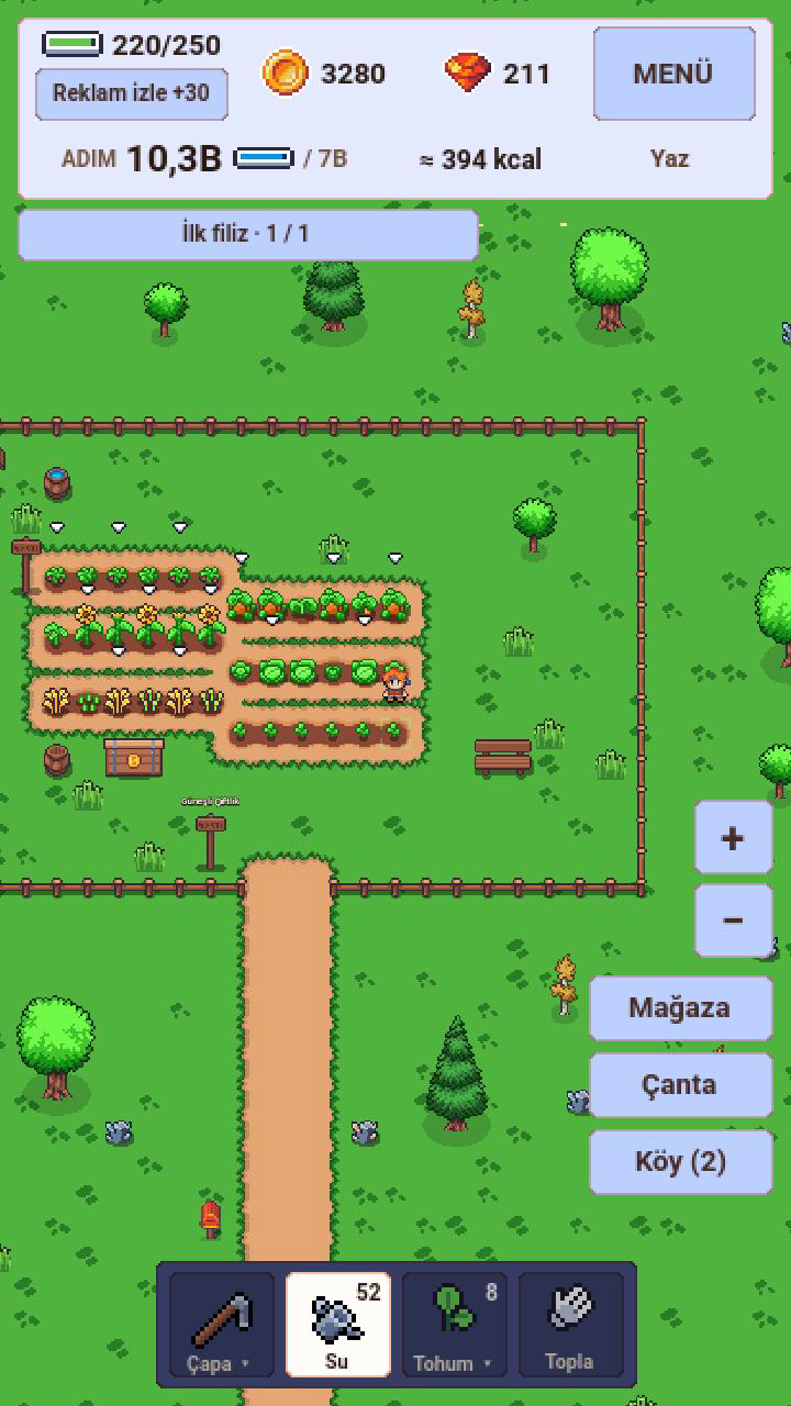 Step Farm çiftliğinde ürün yetiştirme