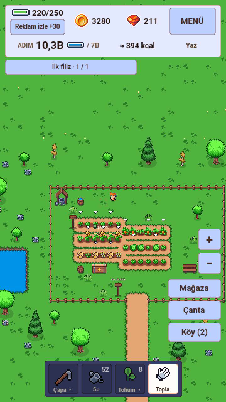 Step Farm oyun arayüzü